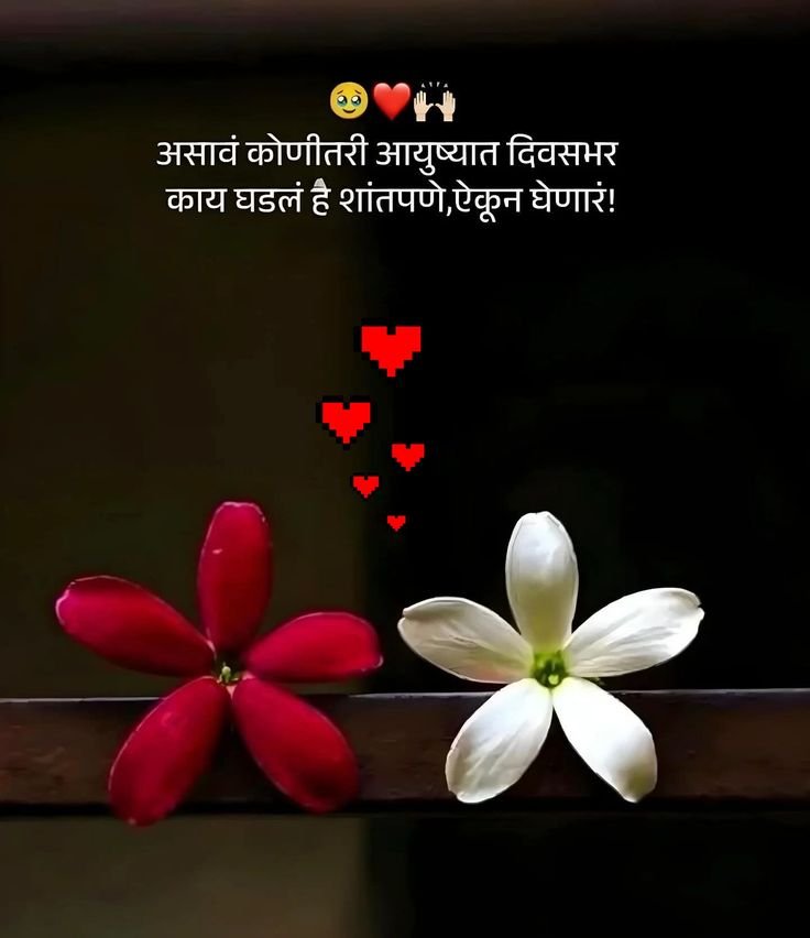 Marathi Caption for Instagram Marathi Caption for Instagram